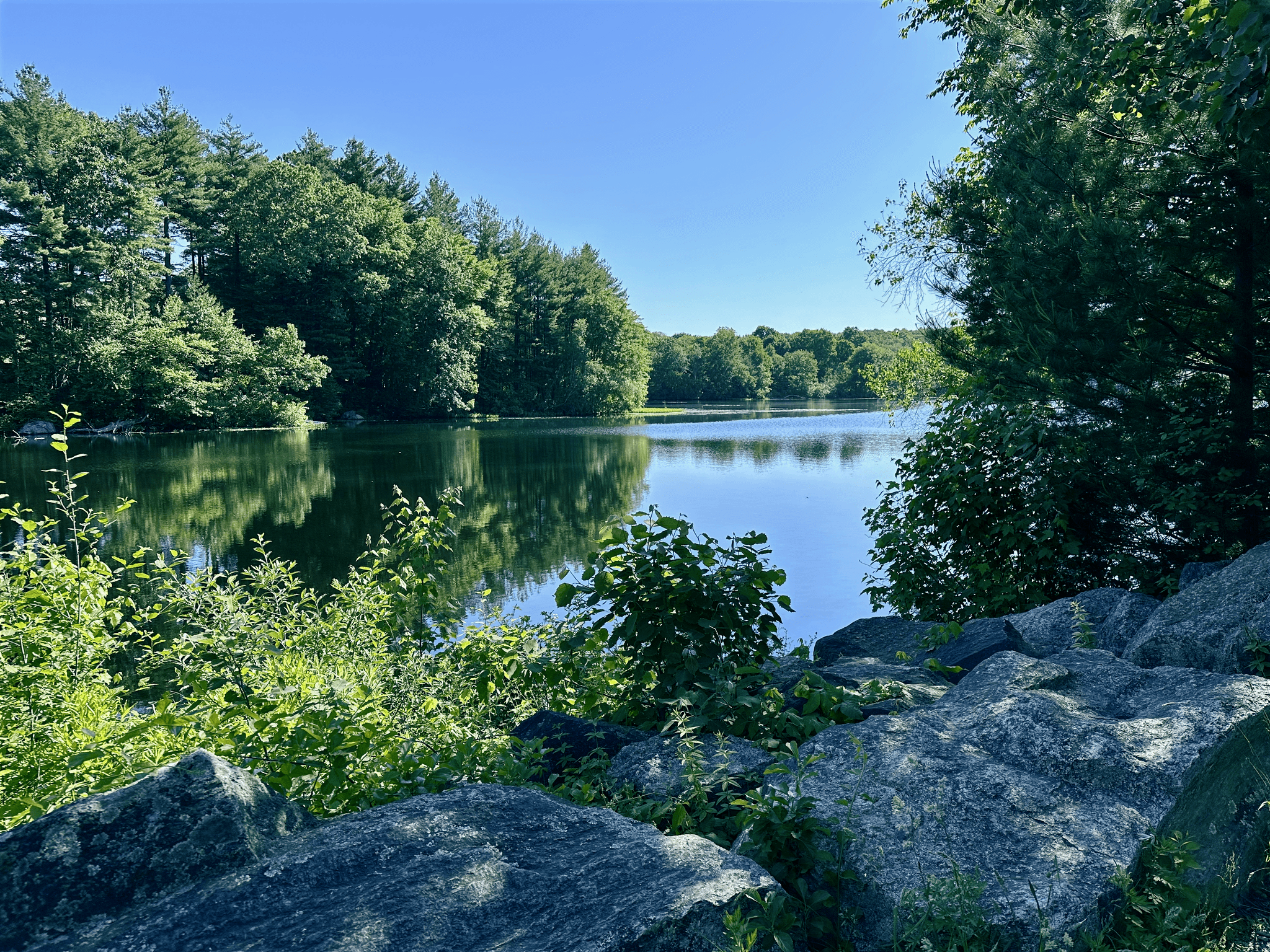 Glassy water with reflections of trees