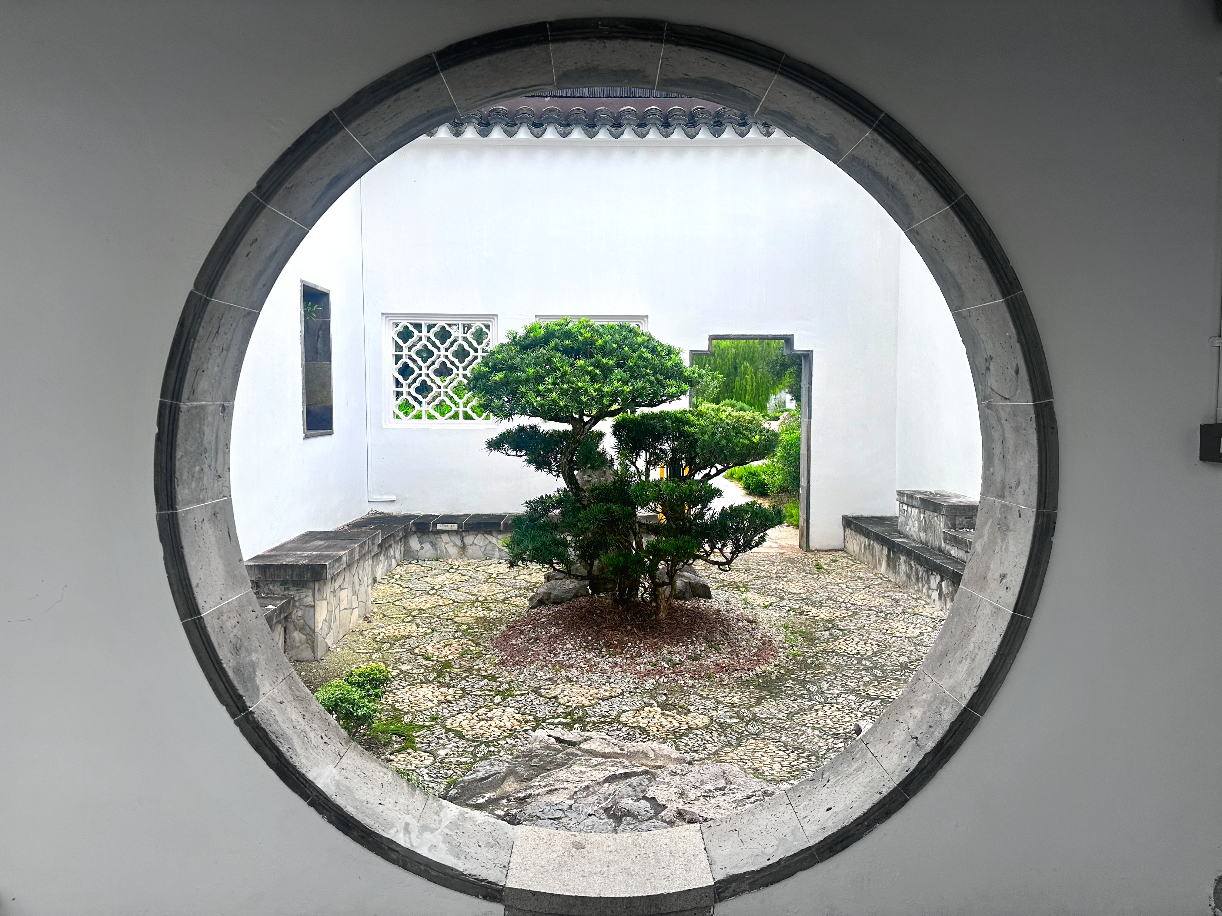 Tree through a moon gate in a Japanese garden in Singapore